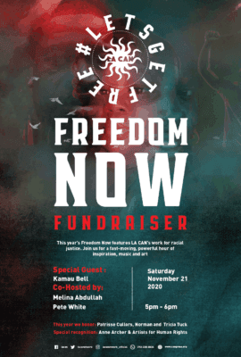 Freedom Now Flyer